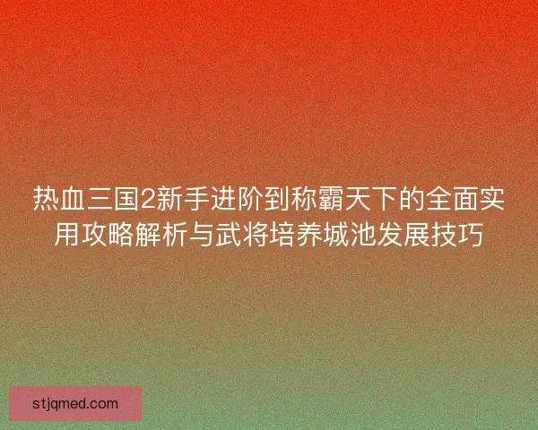 热血三国2新手进阶到称霸天下的全面实用攻略解析与武将培养城池发展技巧