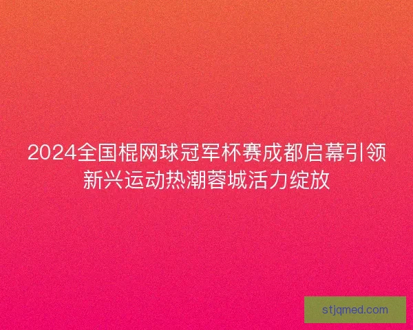2024全国棍网球冠军杯赛成都启幕引领新兴运动热潮蓉城活力绽放