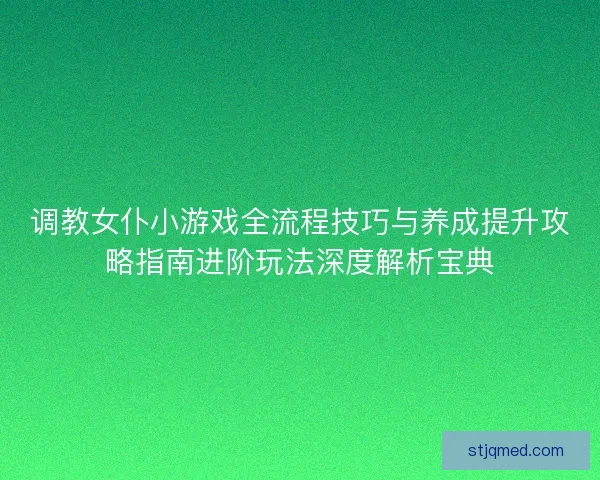 调教女仆小游戏全流程技巧与养成提升攻略指南进阶玩法深度解析宝典