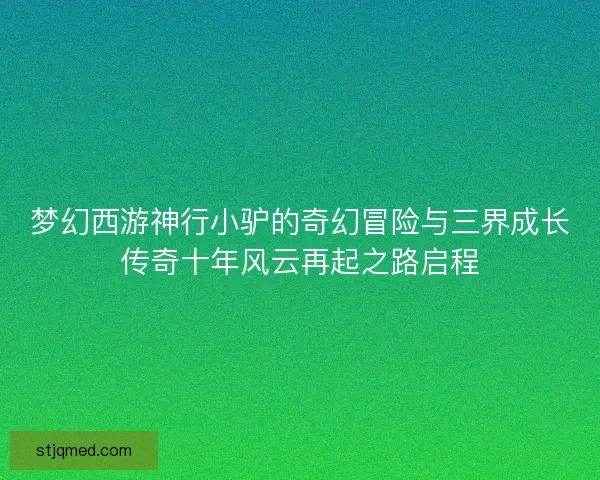 梦幻西游神行小驴的奇幻冒险与三界成长传奇十年风云再起之路启程 梦幻西游神行小驴的奇幻冒险与三界成长传奇十年风云再起之路启程