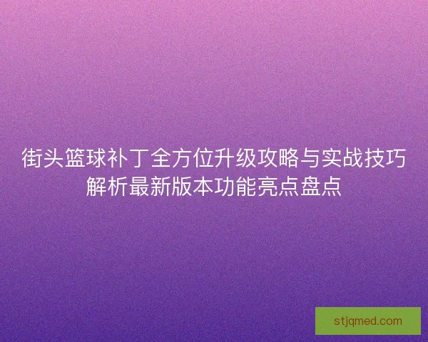 街头篮球补丁全方位升级攻略与实战技巧解析最新版本功能亮点盘点 街头篮球补丁全方位升级攻略与实战技巧解析最新版本功能亮点盘点