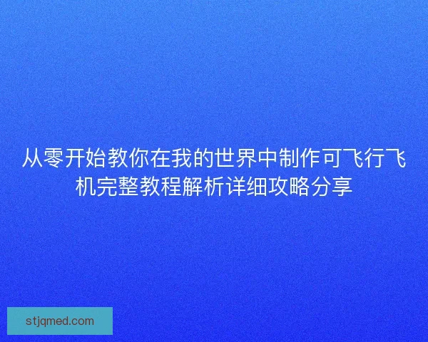 从零开始教你在我的世界中制作可飞行飞机完整教程解析详细攻略分享