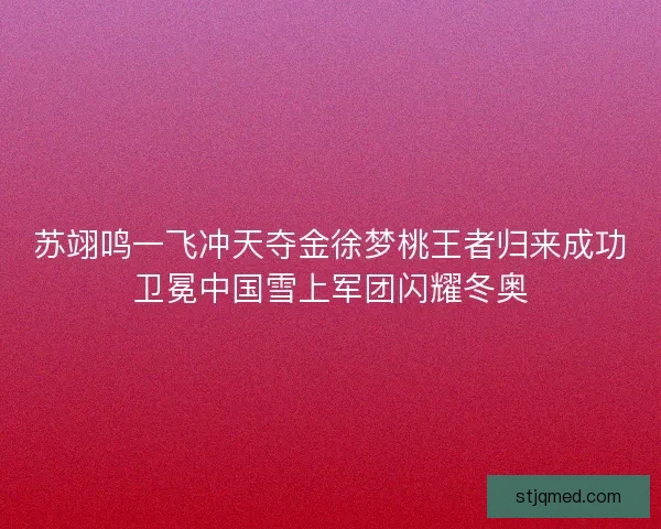 苏翊鸣一飞冲天夺金徐梦桃王者归来成功卫冕中国雪上军团闪耀冬奥